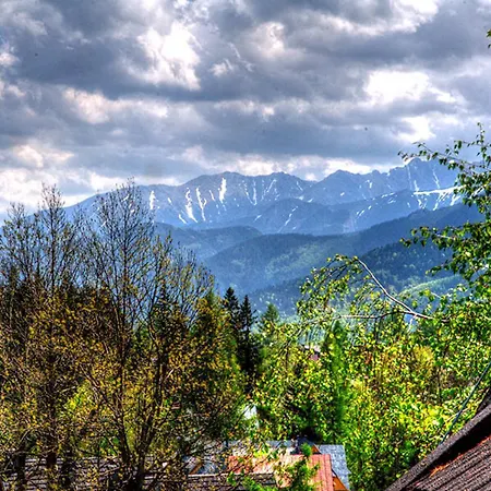 Pod Orlem Jacuzzi Sauna 3* Kościelisko