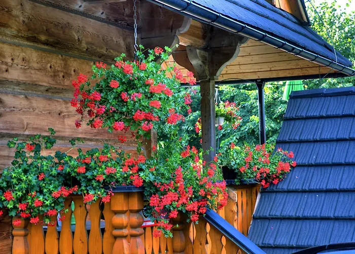 Frühstückspension Pod Orlem Jacuzzi Sauna 3*